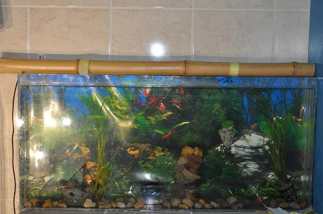 Sea Apartment Breslau